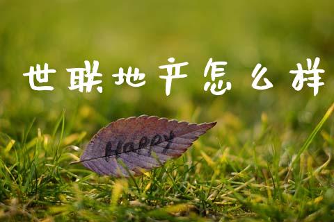 世联地产怎么样_https://www.ltsssb.com_期货行情_第1张