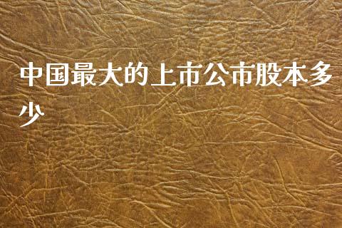 中国最大的上市公市股本多少_https://www.ltsssb.com_新股数据_第1张