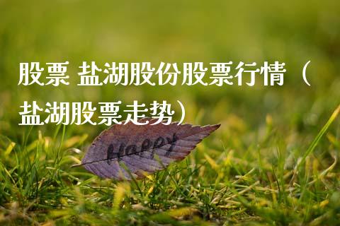 股票 盐湖股份股票行情（盐湖股票走势）_https://www.ltsssb.com_股市分析_第1张
