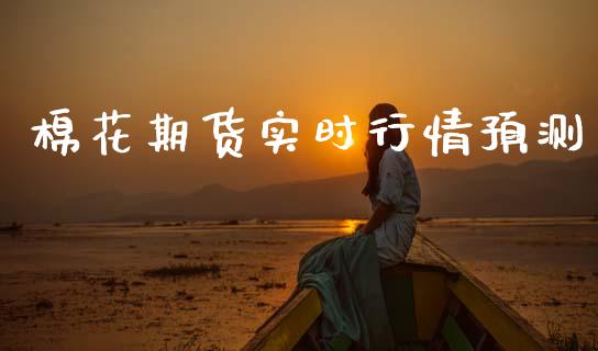 棉花期货实时行情预测_https://www.ltsssb.com_期货行情_第1张