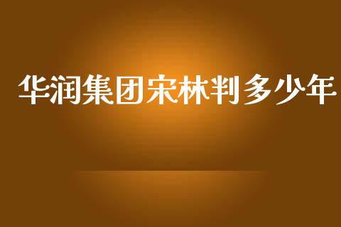 华润集团宋林判多少年_https://www.ltsssb.com_期货密码_第1张