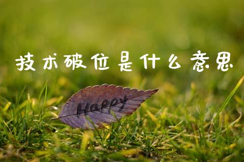 技术破位是什么意思_https://www.ltsssb.com_期货密码_第1张