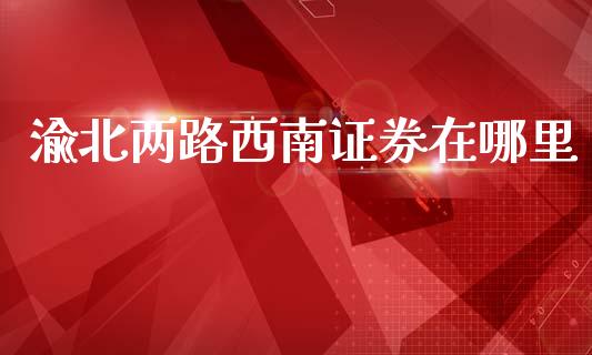 渝北两路西南证券在哪里_https://www.ltsssb.com_新股数据_第1张