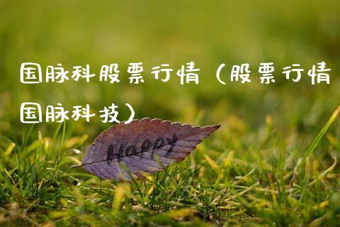 国脉科股票行情（股票行情国脉科技）_https://www.ltsssb.com_新股数据_第1张