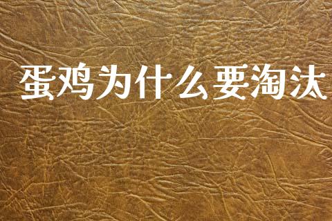 蛋鸡为什么要淘汰_https://www.ltsssb.com_股票理论_第1张