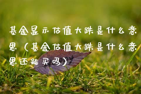 基金显示估值大跌是什么意思（基金估值大跌是什么意思还能买吗）_https://www.ltsssb.com_基金频道_第1张