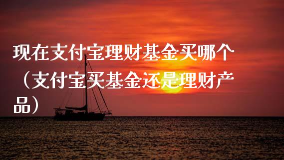 现在支付宝理财基金买哪个（支付宝买基金还是理财产品）_https://www.ltsssb.com_基金频道_第1张