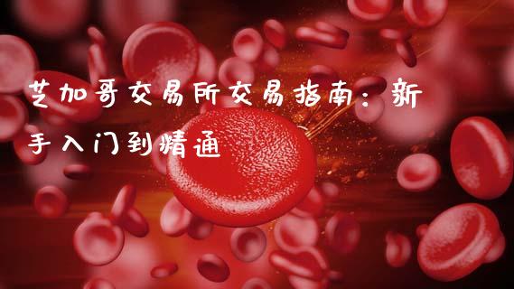 芝加哥交易所交易指南：新手入门到精通_https://www.ltsssb.com_新股数据_第1张