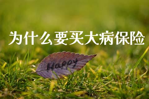为什么要买大病保险_https://www.ltsssb.com_期货行情_第1张