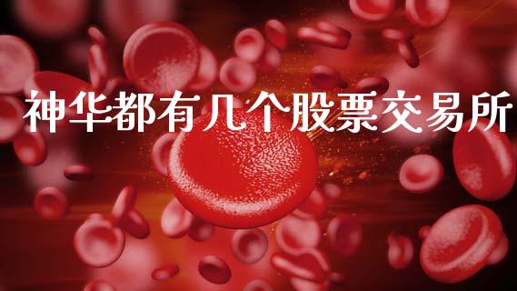 神华都有几个股票交易所_https://www.ltsssb.com_股票理论_第1张