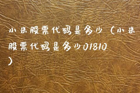 小米股票代码是多少（小米股票代码是多少01810）_https://www.ltsssb.com_新股数据_第1张