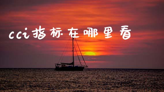cci指标在哪里看_https://www.ltsssb.com_国际财经_第1张