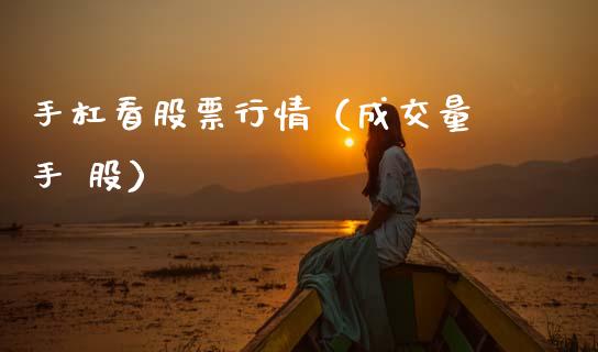 手杠看股票行情（成交量 手 股）_https://www.ltsssb.com_股票理论_第1张