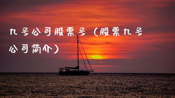 九号公司股票号（股票九号公司简介）_https://www.ltsssb.com_股票理论_第1张