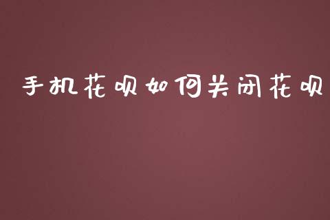 手机花呗如何关闭花呗_https://www.ltsssb.com_基金频道_第1张
