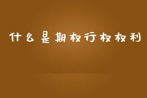 什么是期权行权权利_https://www.ltsssb.com_期货密码_第1张