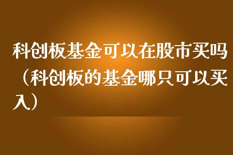 科创板基金可以在股市买吗（科创板的基金哪只可以买入）_https://www.ltsssb.com_基金频道_第1张