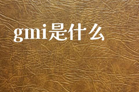 gmi是什么_https://www.ltsssb.com_股票理论_第1张