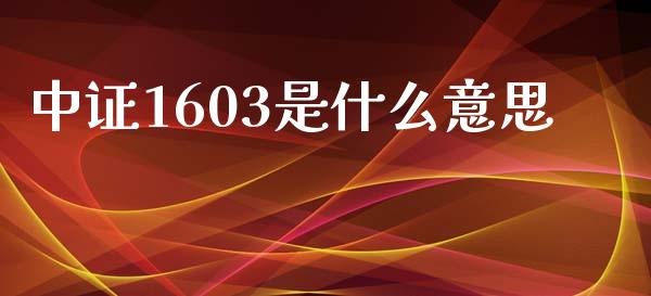 中证1603是什么意思_https://www.ltsssb.com_国际财经_第1张