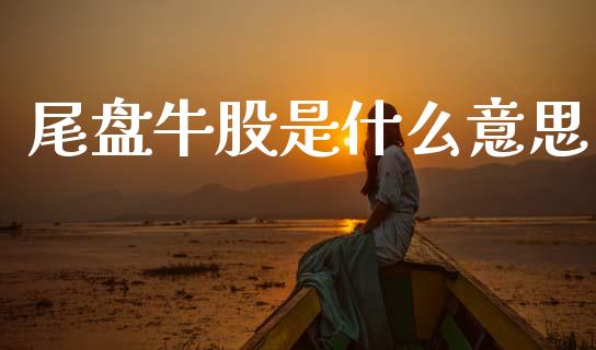尾盘牛股是什么意思_https://www.ltsssb.com_国际财经_第1张