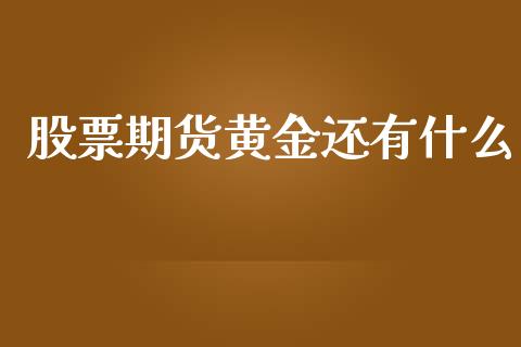 股票期货黄金还有什么_https://www.ltsssb.com_期货密码_第1张