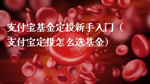 支付宝基金定投新手入门（支付宝定投怎么选基金）_https://www.ltsssb.com_国际财经_第1张