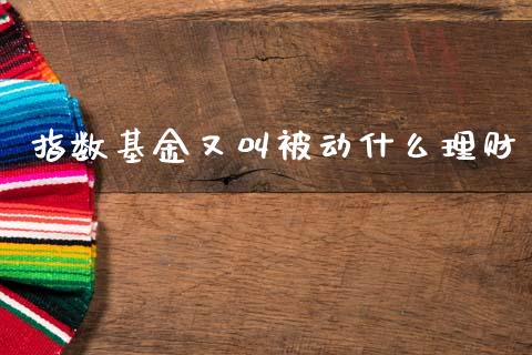 指数基金又叫被动什么理财_https://www.ltsssb.com_基金频道_第1张