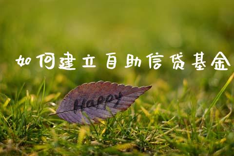 如何建立自助信贷基金_新股数据_第1张_IT财经网 如何建立自助信贷基金_https://www.ltsssb.com_新股数据_第1张