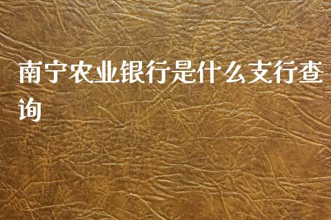 南宁农业银行是什么支行查询_https://www.ltsssb.com_国际财经_第1张