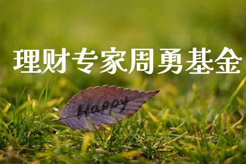 理财专家周勇基金_https://www.ltsssb.com_基金频道_第1张