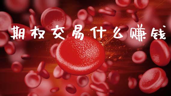 期权交易什么赚钱_https://www.ltsssb.com_期货密码_第1张