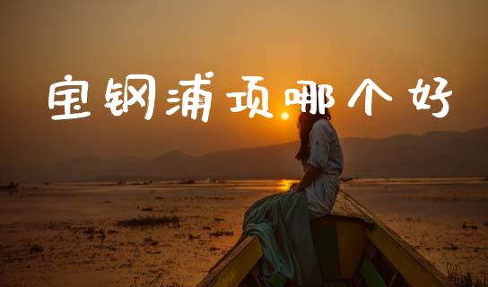 宝钢浦项哪个好_https://www.ltsssb.com_股票理论_第1张