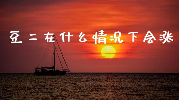 豆二在什么情况下会涨_https://www.ltsssb.com_国际财经_第1张