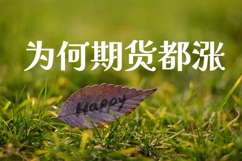 为何期货都涨_https://www.ltsssb.com_基金频道_第1张