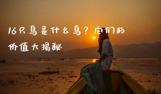 16只鸟是什么鸟？它们的价值大揭秘_https://www.ltsssb.com_国际财经_第1张