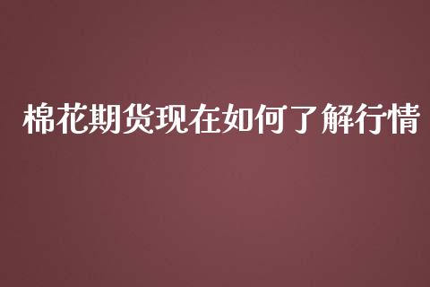 棉花期货现在如何了解行情_https://www.ltsssb.com_期货行情_第1张