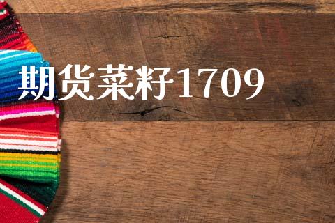 期货菜籽1709_https://www.ltsssb.com_期货在线_第1张
