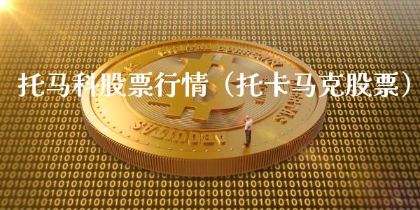 托马科股票行情（托卡马克股票）_https://www.ltsssb.com_股市分析_第1张