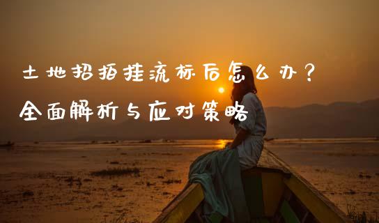 土地招拍挂流标后怎么办？全面解析与应对策略_https://www.ltsssb.com_基金频道_第1张