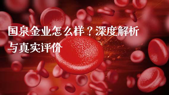 国泉金业怎么样？深度解析与真实评价_https://www.ltsssb.com_期货密码_第1张