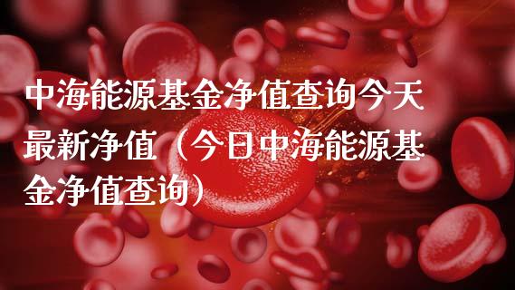 中海能源基金净值查询今天最新净值（今日中海能源基金净值查询）_https://www.ltsssb.com_国际财经_第1张