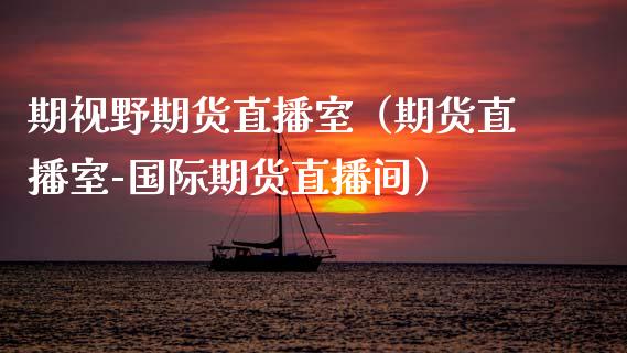 期视野期货直播室（期货直播室-国际期货直播间）_https://www.ltsssb.com_期货在线_第1张