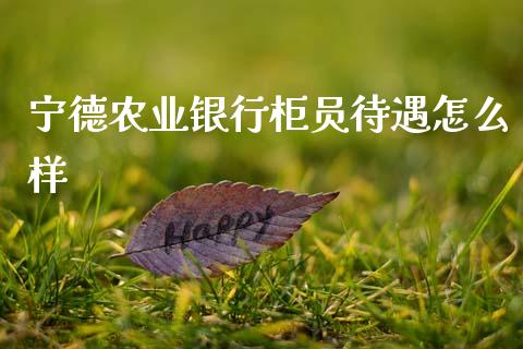 宁德农业银行柜员待遇怎么样_https://www.ltsssb.com_基金频道_第1张