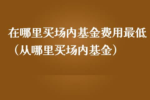 在哪里买场内基金费用最低（从哪里买场内基金）_https://www.ltsssb.com_国际财经_第1张