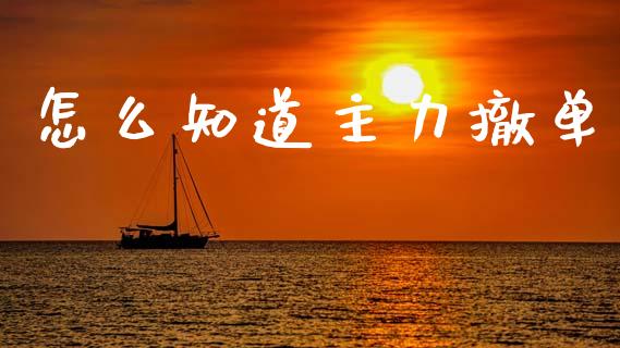 怎么知道主力撤单_https://www.ltsssb.com_国际财经_第1张
