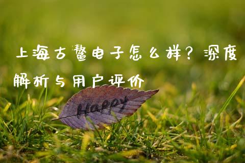 上海古鳌电子怎么样？深度解析与用户评价_https://www.ltsssb.com_股票理论_第1张