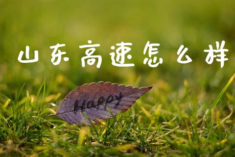 山东高速怎么样_https://www.ltsssb.com_基金频道_第1张