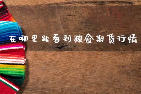 在哪里能看到粮食期货行情_https://www.ltsssb.com_期货密码_第1张