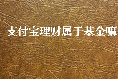 支付宝理财属于基金嘛_https://www.ltsssb.com_基金频道_第1张