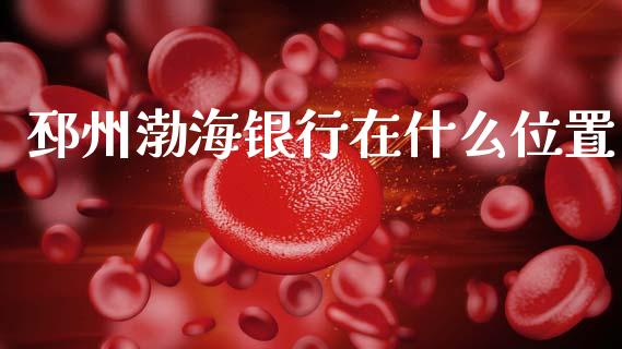 邳州渤海银行在什么位置_https://www.ltsssb.com_新股数据_第1张
